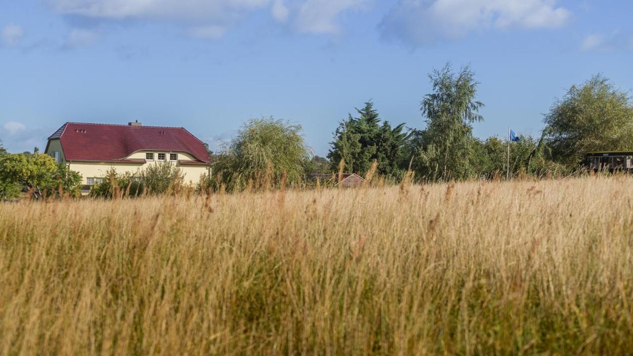 Ferienwohnung Haus Silbermöwe Middelhagen Exterior foto